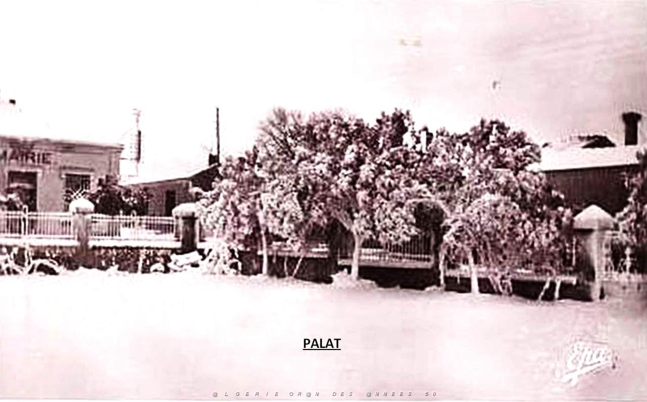 Palat 100.jpg
